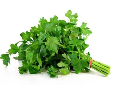 Parsley