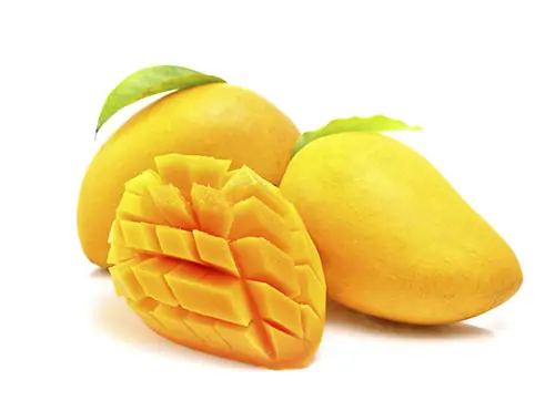 Mango – Taze ürünler için modifiye atmosfer ambalajı