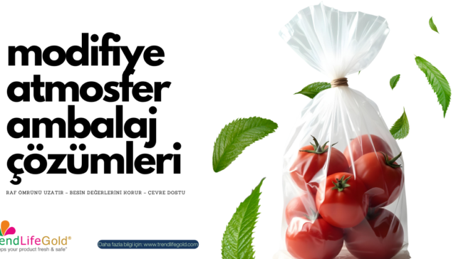 Modifiye atmosfer ambalajında taze domatesler ve çevre dostu yapraklar.